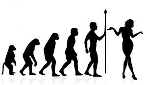 Evolution Of Man