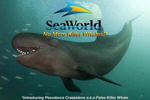 New SeaWorld Promo