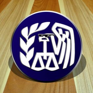 IRS Logo Enamel Pin